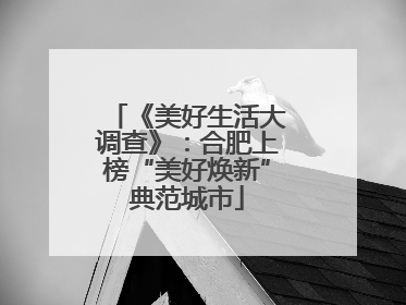 《美好生活大调查》：合肥上榜“美好焕新”典范城市