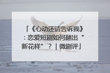 《心动还请告诉我》：恋爱短剧如何翻出“新花样”？｜微剧评