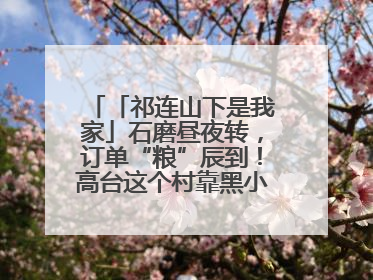 「祁连山下是我家」石磨昼夜转，订单“粮”辰到！高台这个村靠黑小麦面粉拿下成立来最大订单