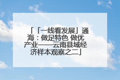 「一线看发展」通海：做足特色 做优产业——云南县域经济样本观察之二