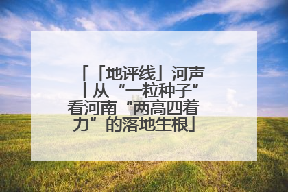 「地评线」河声丨从“一粒种子”看河南“两高四着力”的落地生根