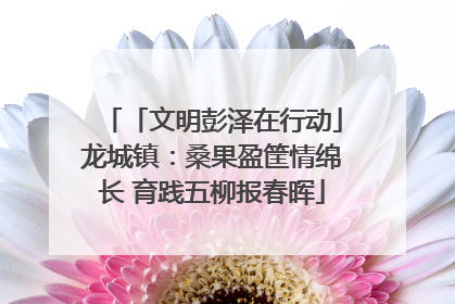 「文明彭泽在行动」龙城镇：桑果盈筐情绵长 育践五柳报春晖