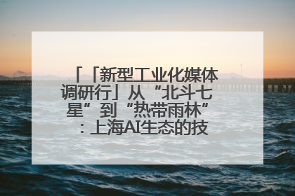 「新型工业化媒体调研行」从“北斗七星”到“热带雨林”：上海AI生态的技术商业共生密码