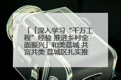 「深入学习“千万工程”经验 推进乡村全面振兴」和美荔城 共富共美 荔城区扎实推进乡村振兴工作