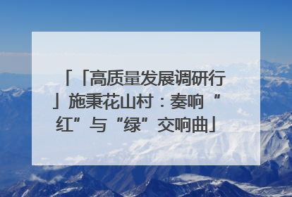 「高质量发展调研行」施秉花山村：奏响“红”与“绿”交响曲