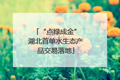 “点绿成金” 湖北首单水生态产品交易落地