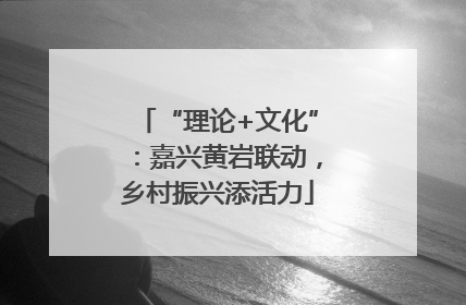 “理论+文化”：嘉兴黄岩联动，乡村振兴添活力