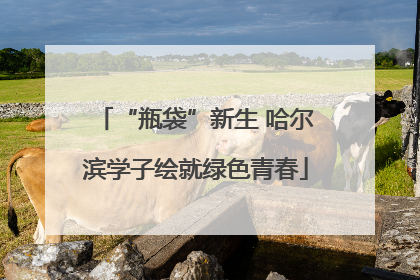 “瓶袋”新生 哈尔滨学子绘就绿色青春