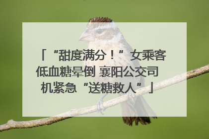 “甜度满分！”女乘客低血糖晕倒 襄阳公交司机紧急“送糖救人”