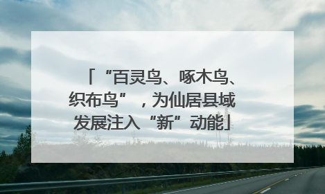 “百灵鸟、啄木鸟、织布鸟”，为仙居县域发展注入“新”动能