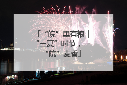 “皖”里有粮｜“三夏”时节，一“皖”麦香