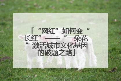 “网红”如何变“长红”——“一朵花”激活城市文化基因的破题之路
