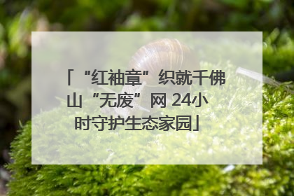 “红袖章”织就千佛山“无废”网 24小时守护生态家园