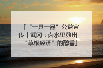 “一县一品”公益宣传丨武冈：卤水里熬出“草根经济”的醇香