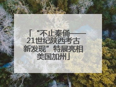 “不止秦俑——21世纪陕西考古新发现”特展亮相美国加州