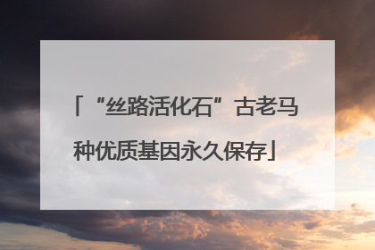 “丝路活化石”古老马种优质基因永久保存