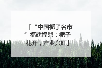 “中国栀子名市”福建福鼎：栀子花开，产业兴旺