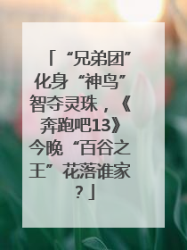 “兄弟团”化身“神鸟”智夺灵珠，《奔跑吧13》今晚“百谷之王”花落谁家？
