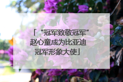 “冠军致敬冠军” 赵心童成为比亚迪冠军形象大使