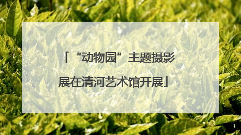 “动物园”主题摄影展在清河艺术馆开展