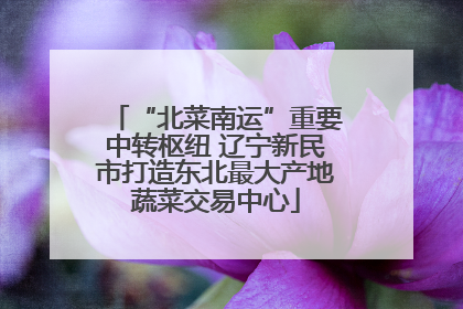 “北菜南运”重要中转枢纽 辽宁新民市打造东北最大产地蔬菜交易中心