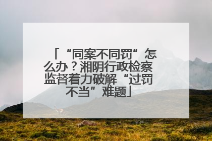 “同案不同罚”怎么办？湘阴行政检察监督着力破解“过罚不当”难题