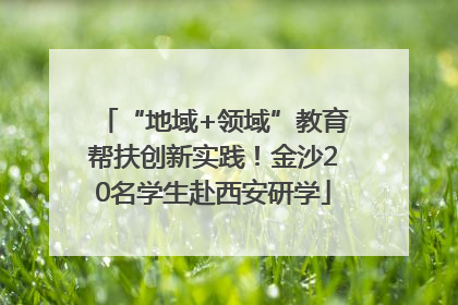 “地域+领域”教育帮扶创新实践！金沙20名学生赴西安研学
