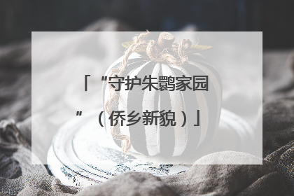 “守护朱鹮家园”（侨乡新貌）