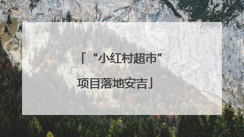 “小红村超市”项目落地安吉