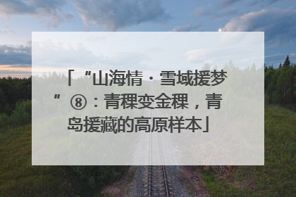 “山海情・雪域援梦”⑧：青稞变金稞，青岛援藏的高原样本
