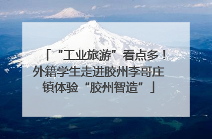 “工业旅游”看点多！外籍学生走进胶州李哥庄镇体验“胶州智造”