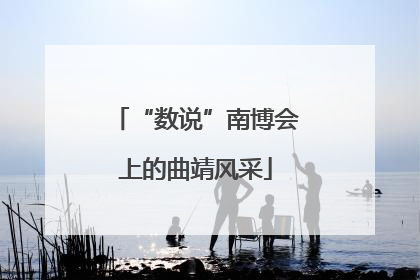 “数说”南博会上的曲靖风采