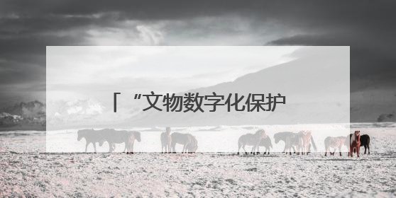“文物数字化保护战略”写入法规，守护文明需担当