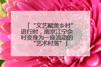 “文艺赋美乡村”进行时，南京江宁佘村变身为一座流动的“艺术村落”