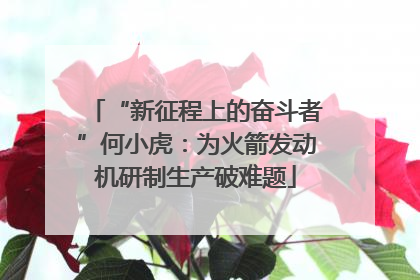 “新征程上的奋斗者”何小虎：为火箭发动机研制生产破难题
