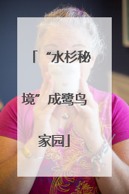 “水杉秘境”成鹭鸟家园
