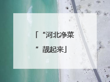 “河北净菜”靓起来