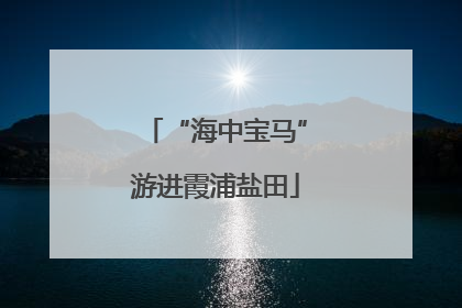 “海中宝马”游进霞浦盐田
