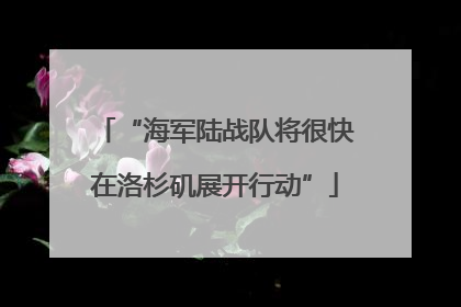 “海军陆战队将很快在洛杉矶展开行动”