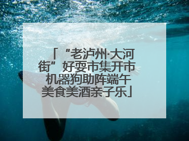 “老泸州·大河街”好耍市集开市 机器狗助阵端午美食美酒亲子乐