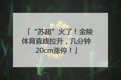 “苏超”火了！金陵体育直线拉升，几分钟20cm涨停！