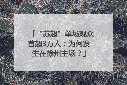“苏超”单场观众首超3万人：为何发生在徐州主场？