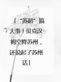 “苏超”搞大事！贝克汉姆空降苏州，还说起了苏州话