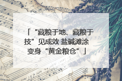 “藏粮于地、藏粮于技”见成效 盐碱滩涂变身“黄金粮仓”