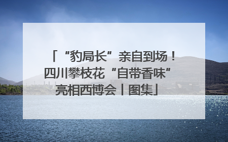 “豹局长”亲自到场！四川攀枝花“自带香味”亮相西博会丨图集