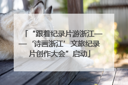 “跟着纪录片游浙江——‘诗画浙江’文旅纪录片创作大会”启动