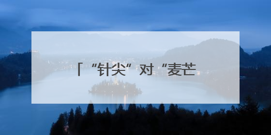 “针尖”对“麦芒”，176袋竹签棘手难题如何解？