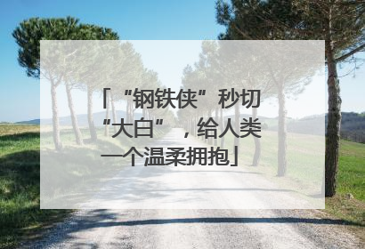 “钢铁侠”秒切“大白”，给人类一个温柔拥抱