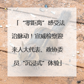 “零距离”感受法治脉动！宣威检察迎来人大代表、政协委员“沉浸式”体验