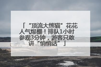 “顶流大熊猫”花花人气爆棚！排队1小时参观3分钟，游客只敢讲“悄悄话”